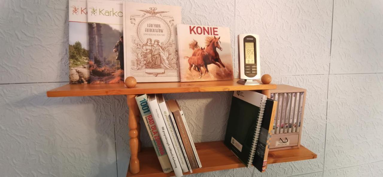 Apartament Milka W Dusznikach Zdroju Duszniki Zdrój Dış mekan fotoğraf