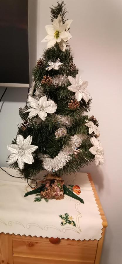Apartament Milka W Dusznikach Zdroju Duszniki Zdrój Dış mekan fotoğraf