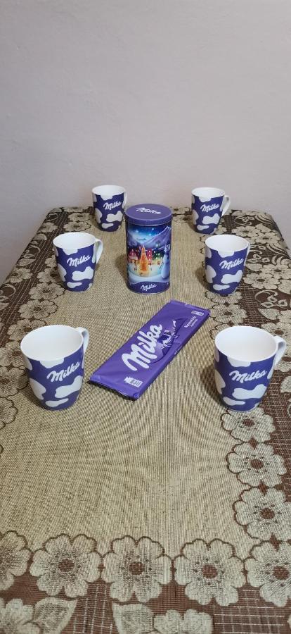 Apartament Milka W Dusznikach Zdroju Duszniki Zdrój Dış mekan fotoğraf
