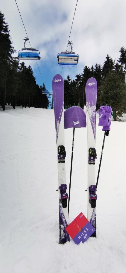 Apartament Milka W Dusznikach Zdroju Duszniki Zdrój Dış mekan fotoğraf