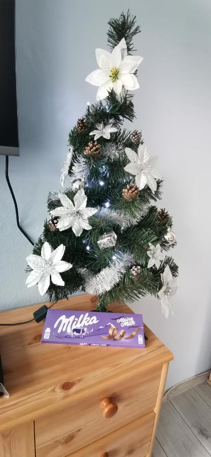 Apartament Milka W Dusznikach Zdroju Duszniki Zdrój Dış mekan fotoğraf
