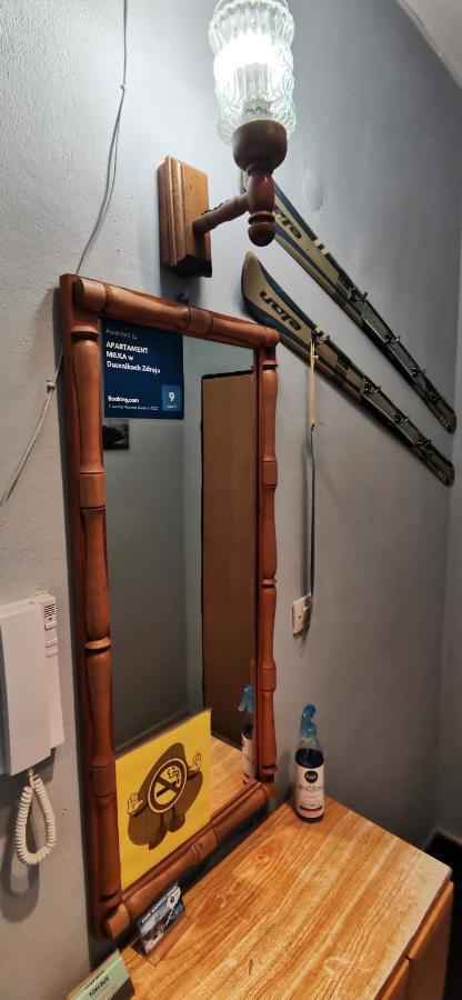 Apartament Milka W Dusznikach Zdroju Duszniki Zdrój Dış mekan fotoğraf